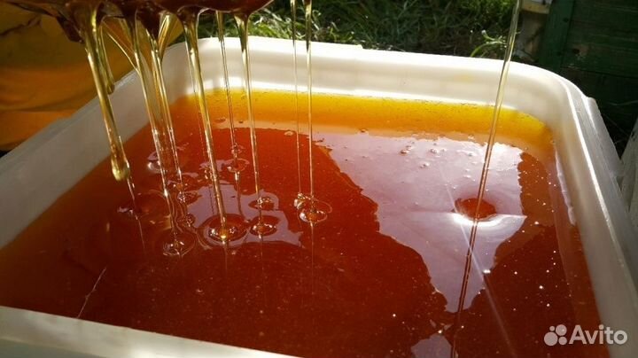 Цветочный мед оптом