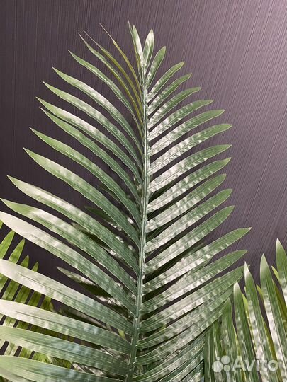 Искусственное дерево пальма