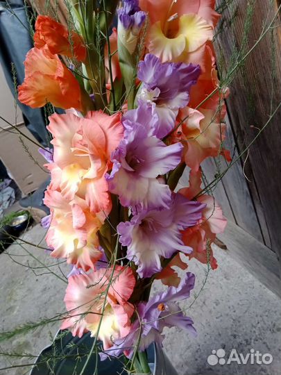 Букеты и срезка на заказ