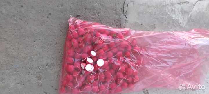 Продаю редис