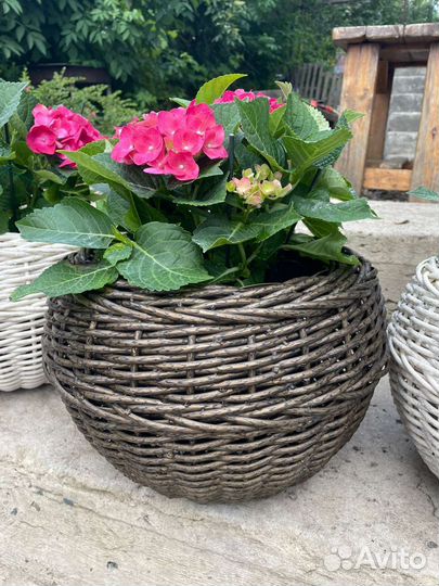 Кашпо для цветов