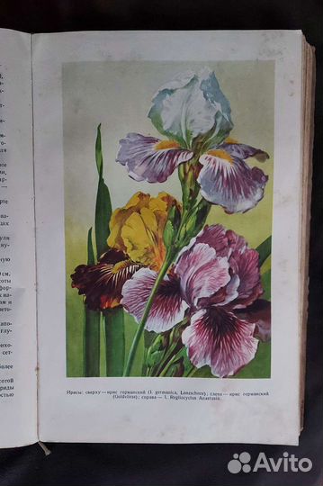Книга Цветоводство Киселёв. 1949г