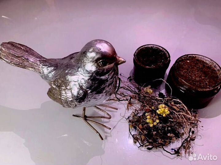 Мед волшебный