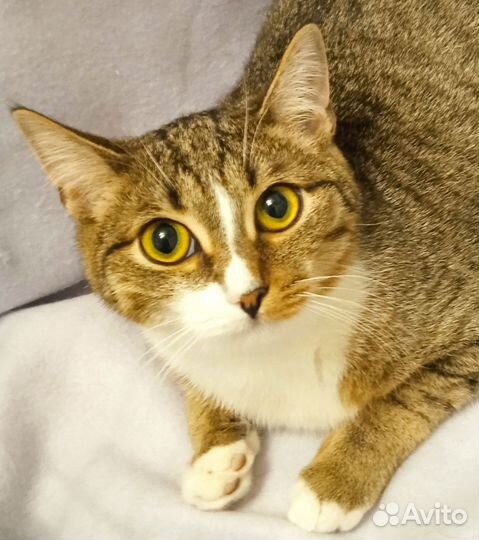 Ласковая девчушка