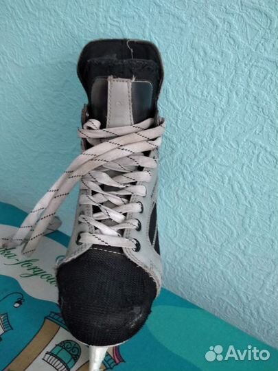 Коньки хоккейные nordway р.38