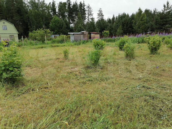 Участок 10 сот. (СНТ, ДНП)