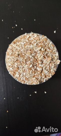 Яичная скорлупа