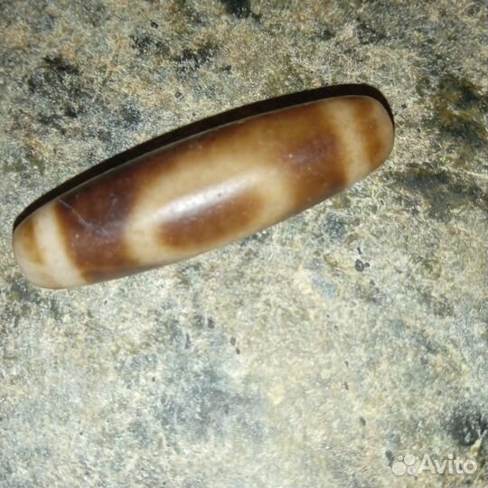 Бусина Дзи Бодхи и 1-глаз