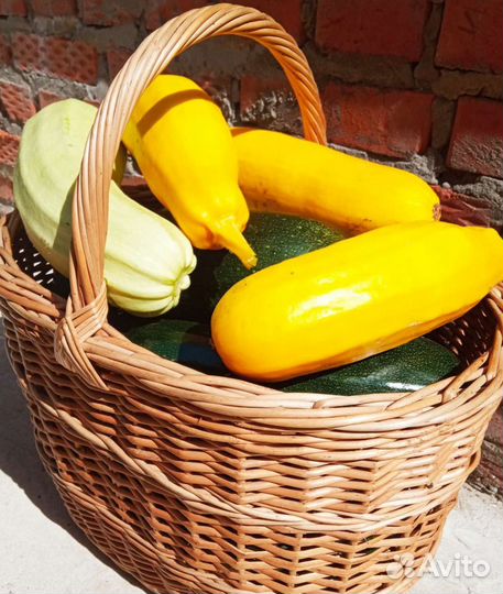 Кабачки центр города