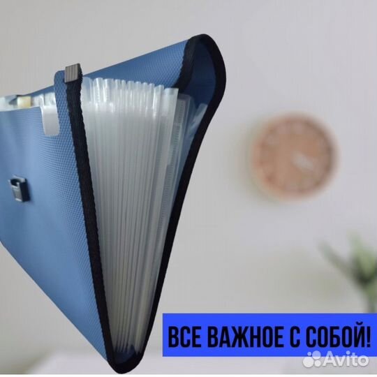 Папка - портфель для документов