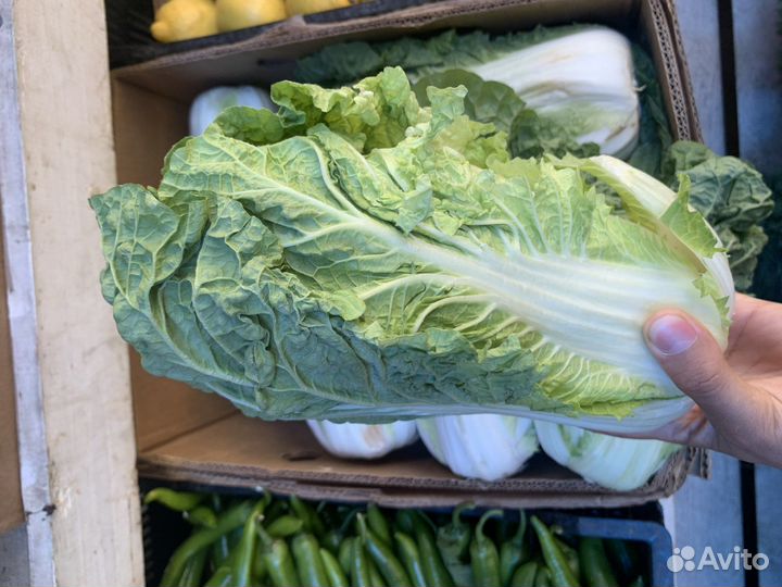 Пекинская капуста свежая