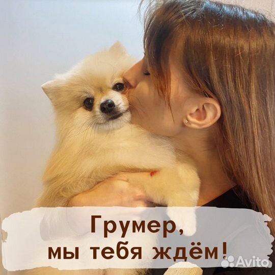 Ищем помощника грумера