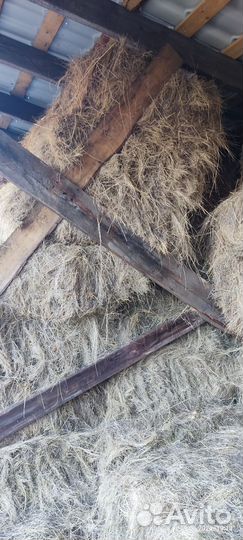 Сено в тюках