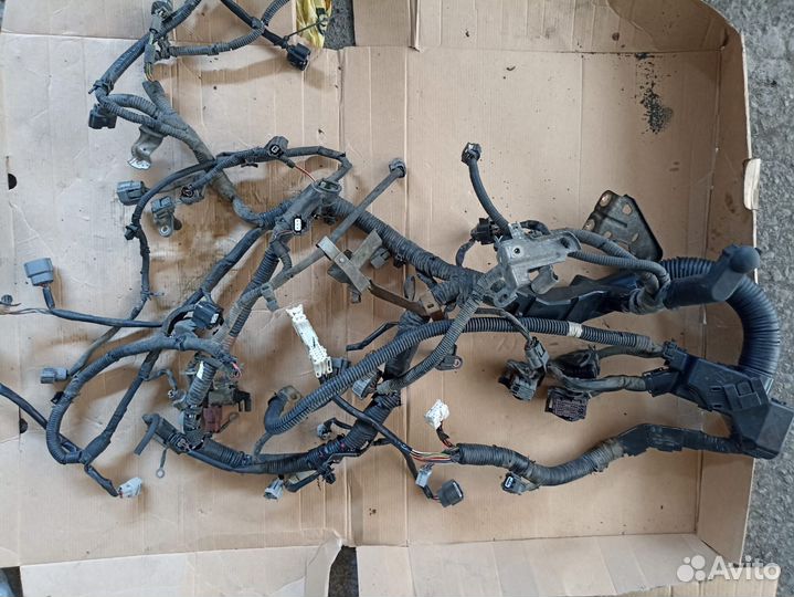 Проводка мотора Nissan Teana J32