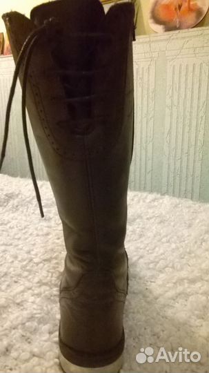 Сапоги демисезонные кожа