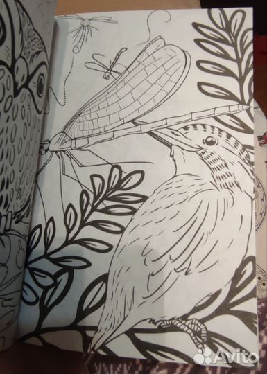 Раскраска антистресс