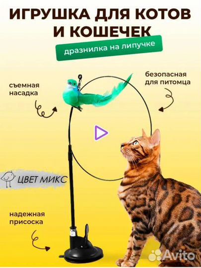 Удочка дразнилка с присоской для кошек