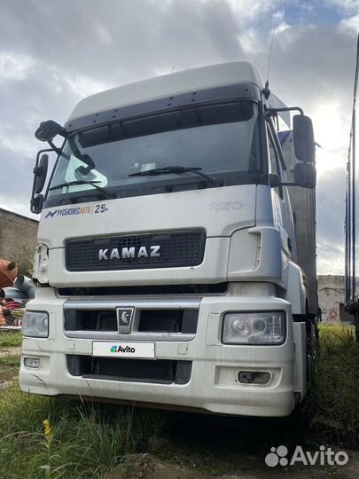 КамАЗ 5490-032-87(S5) NEO 2, 2019