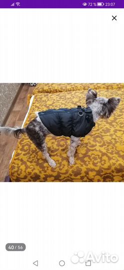 Куртка жилет для маленькой собачки