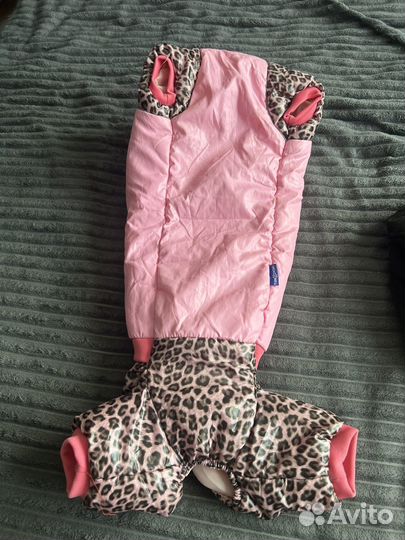 Комбинезон на таксу