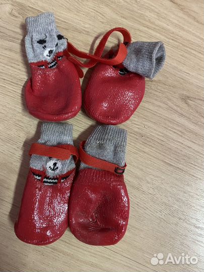 Обувь для собак мелких пород