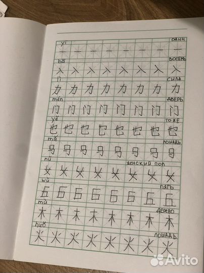 Китайский язык. Рабочая тетрадь. Иероглифы