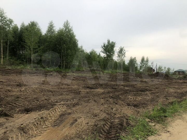 Участок 10 сот. (СНТ, ДНП)