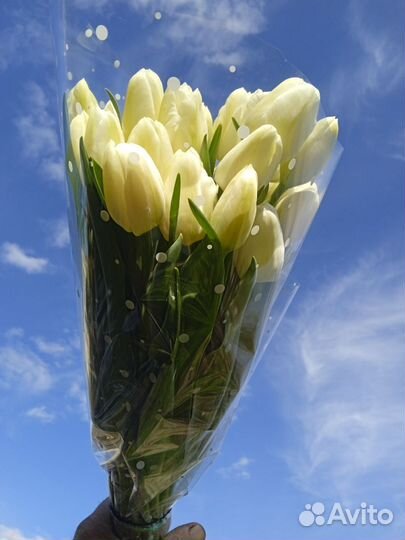 Букет тюльпанов