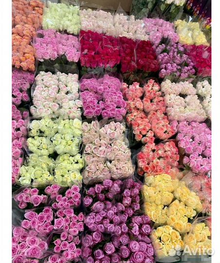 Цветы розы оптом и в розницу. Цена реальная
