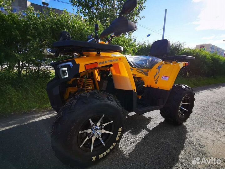 Motoland (мотоленд) 200 wild track X PRO-sport