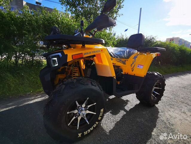 Motoland (мотоленд) 200 wild track X PRO-sport