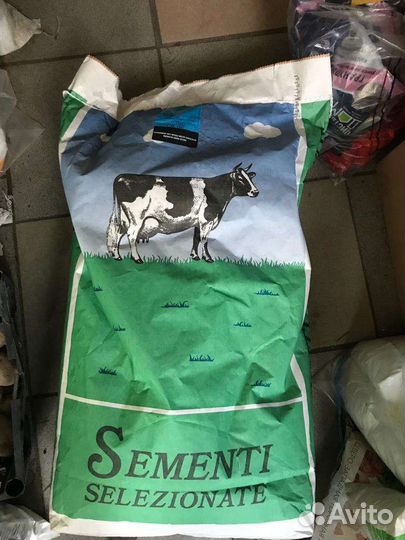 Семена кормовой свеклы бригадир