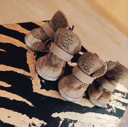 Обувь для собак