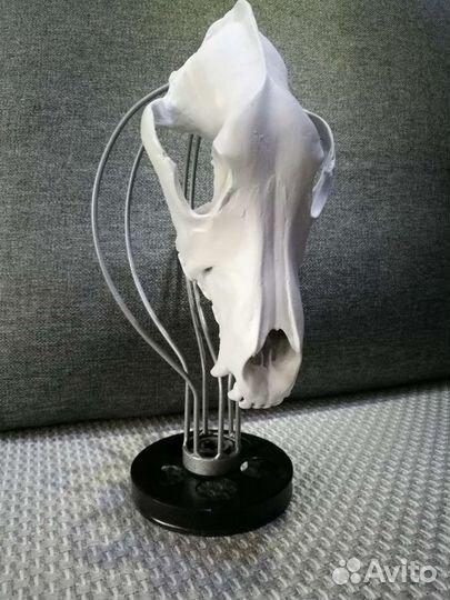 Предмет интерьера, декор,череп, подарок