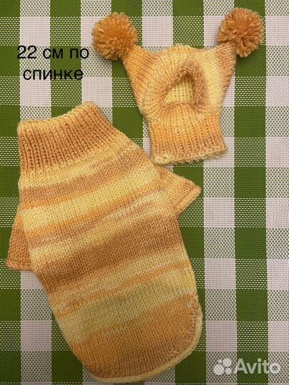 Одежда для собак мелких пород