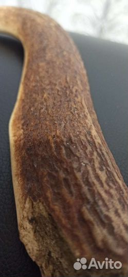 Рог для ножа