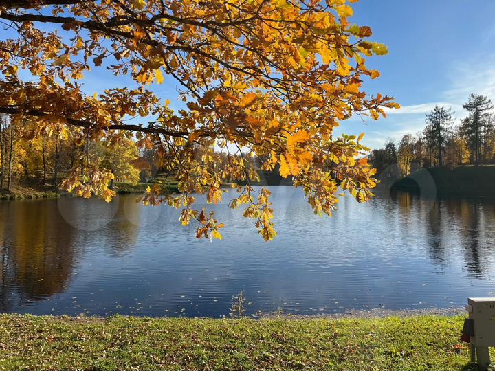 Участок 15 сот. (ИЖС)