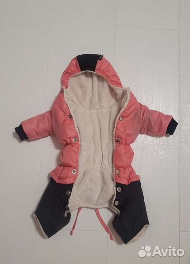 Комбинезон для собаки