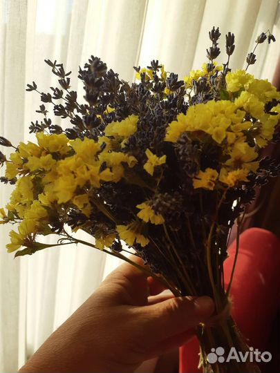 Букет из сухоцветов