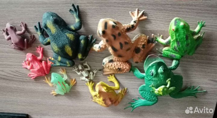 Лягушки, ягуаны, насекомые