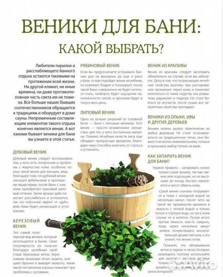 Веники для бани
