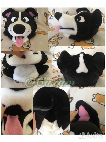 Фурсьют собаки