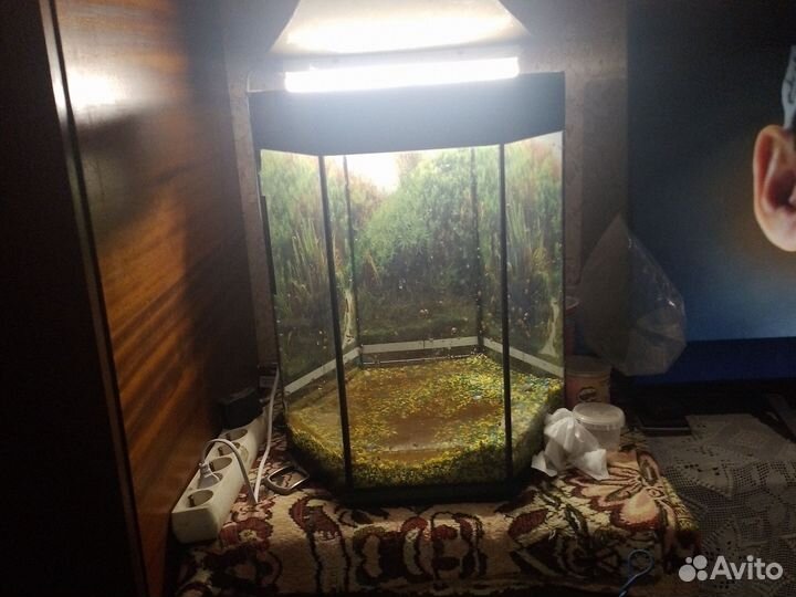 Аквариум