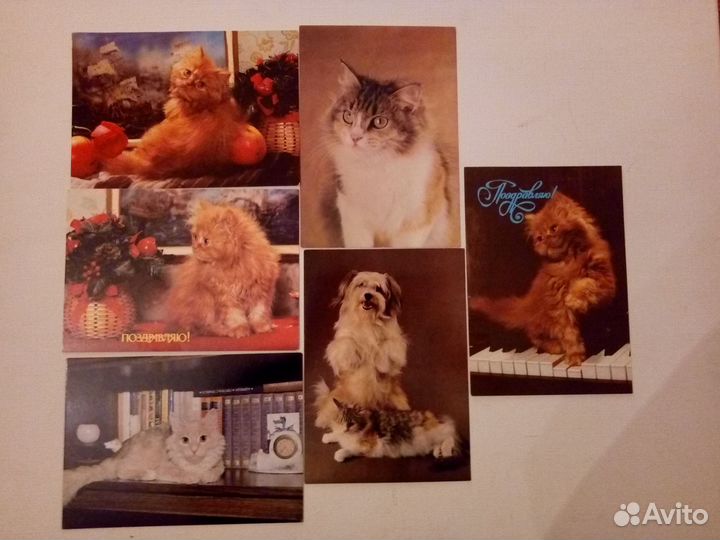 Винтажные открытки и календарики с котами