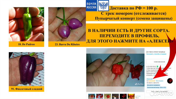 Семена острого перца со всего мира