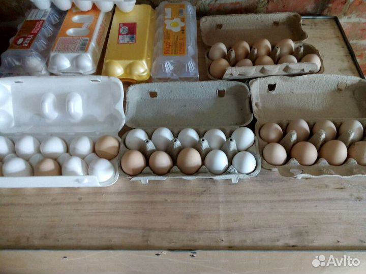 Яйцо куриное домашнее