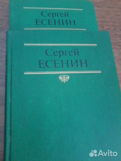 Книга Сергей Есенин