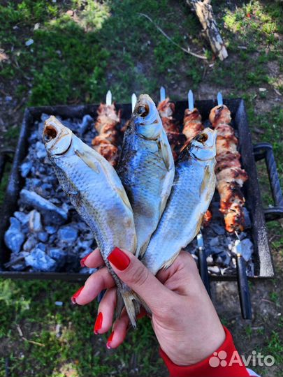 Астраханская вяленая вобла