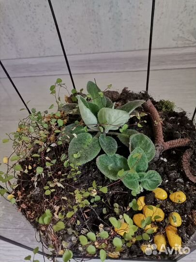 Ваза для флорариума бонсариума большая