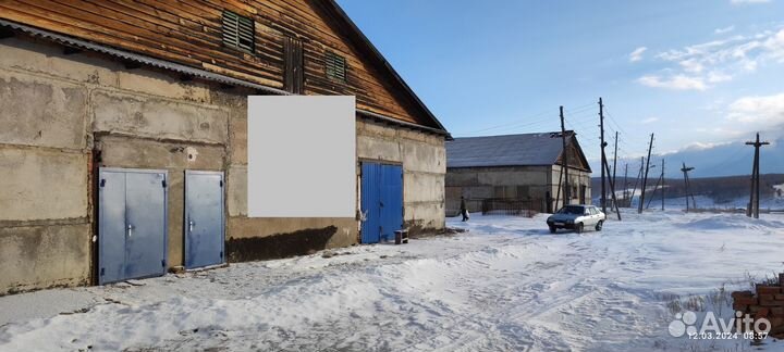 Производство грибов вешенка